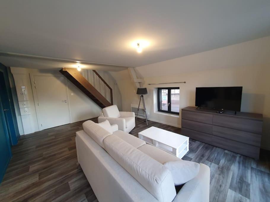 Appartement 2 Pieces Tout Confort, Aux Portes De Colmar Andolsheim Exterior photo