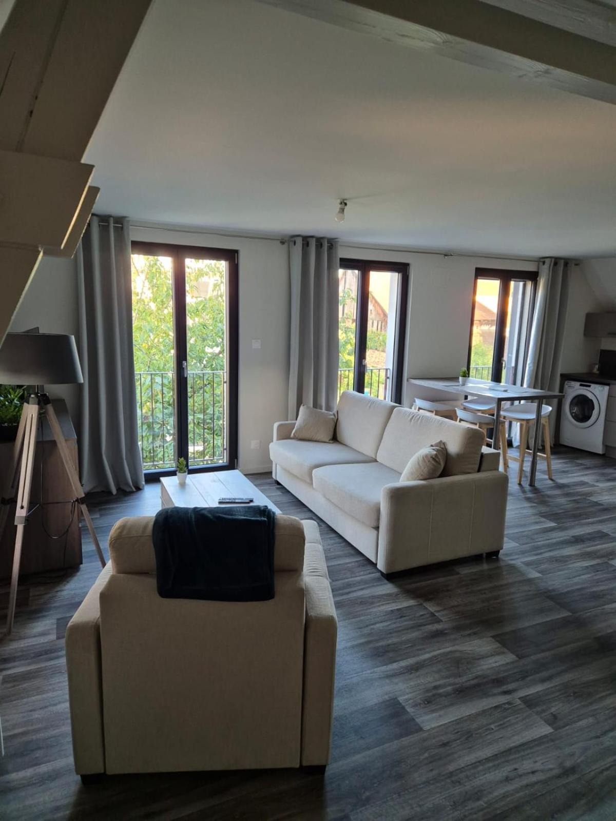 Appartement 2 Pieces Tout Confort, Aux Portes De Colmar Andolsheim Exterior photo